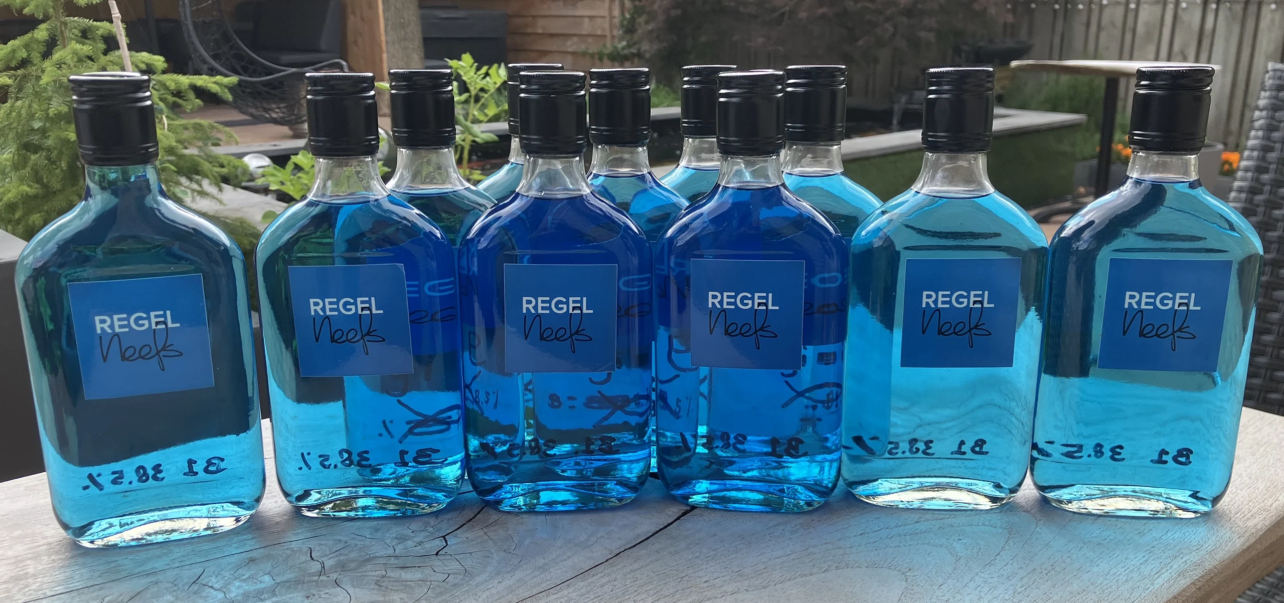 Regelneefs Gin