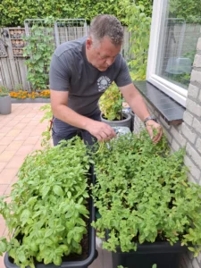 Marc Neefs kruiden uit eigen tuin munt